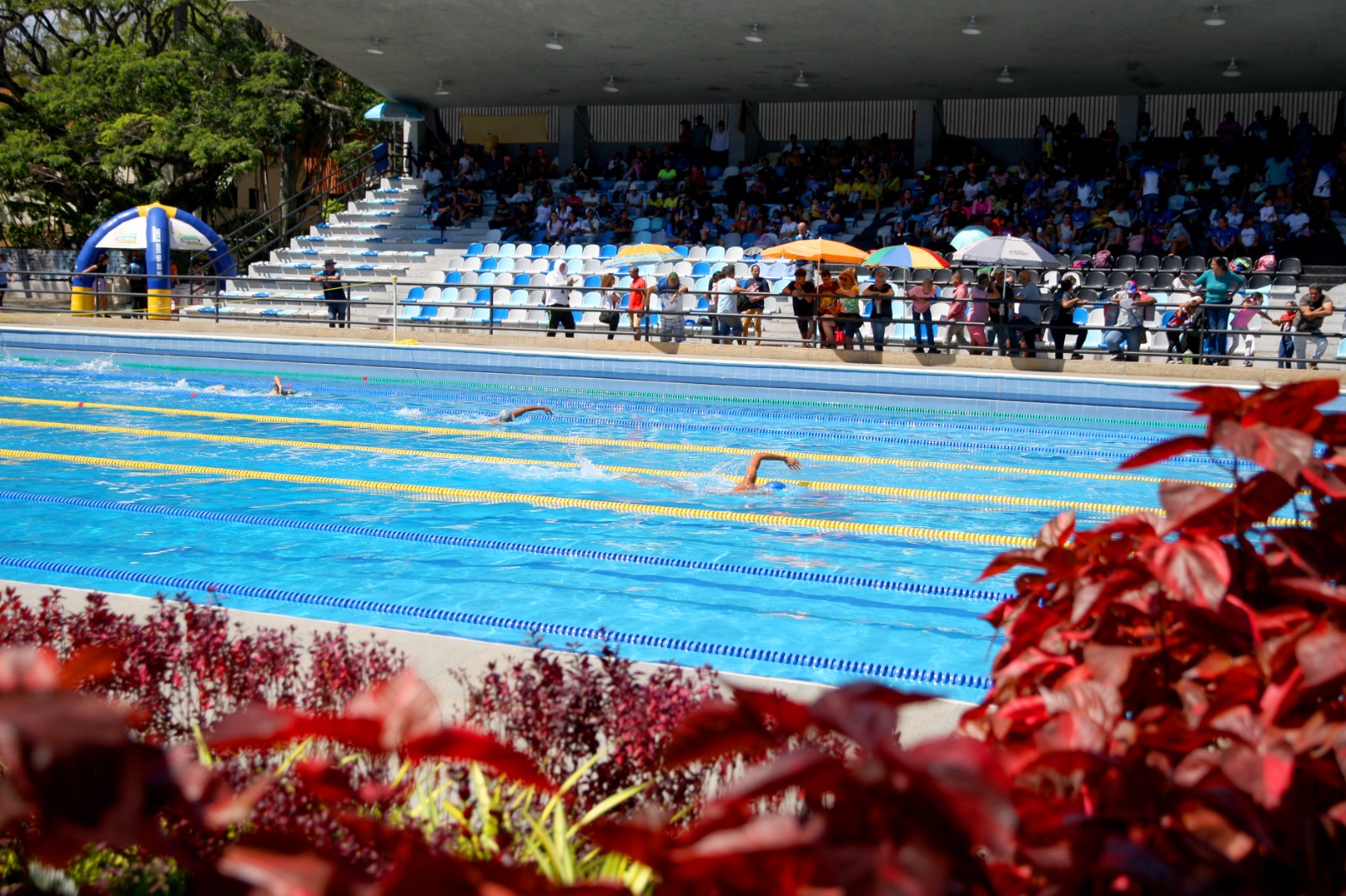 Campeonato Estadal Invitacional Federado Unificado ADAC