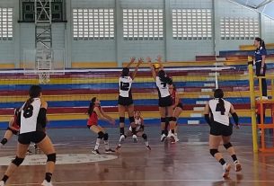 voleibol carabobo femenino