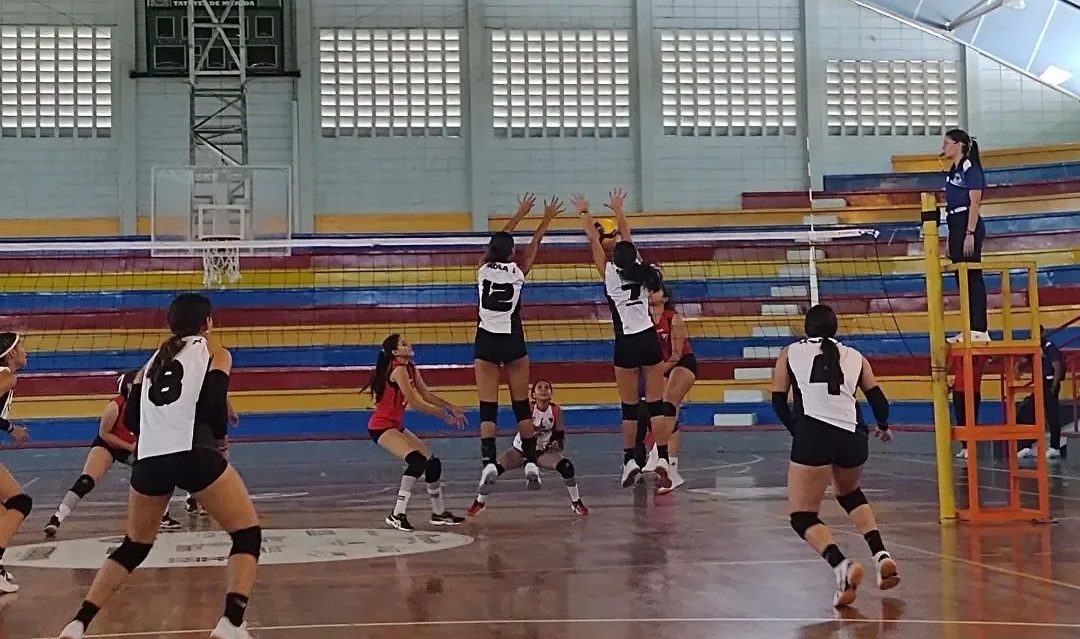 voleibol carabobo femenino