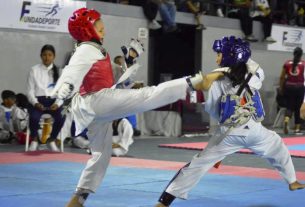 artes marciales carabobo alvin perez