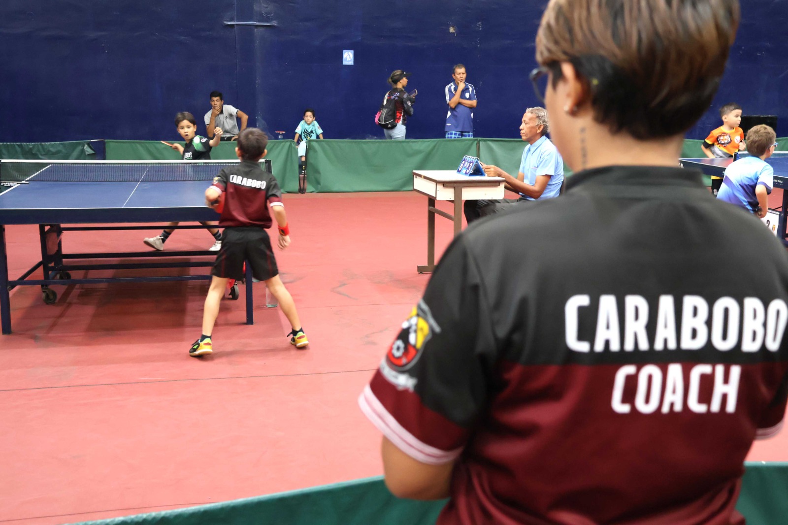 tenis de mesa