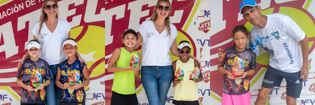 tenis pelota de colores