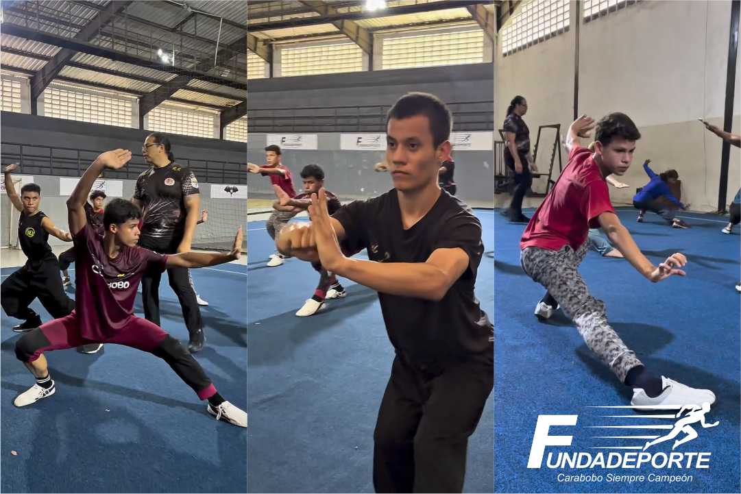 wushu
